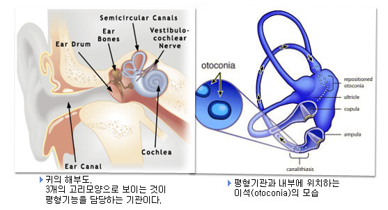 이삭증02.jpg