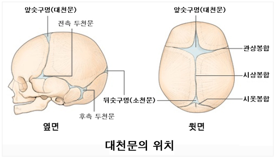 대천문.png