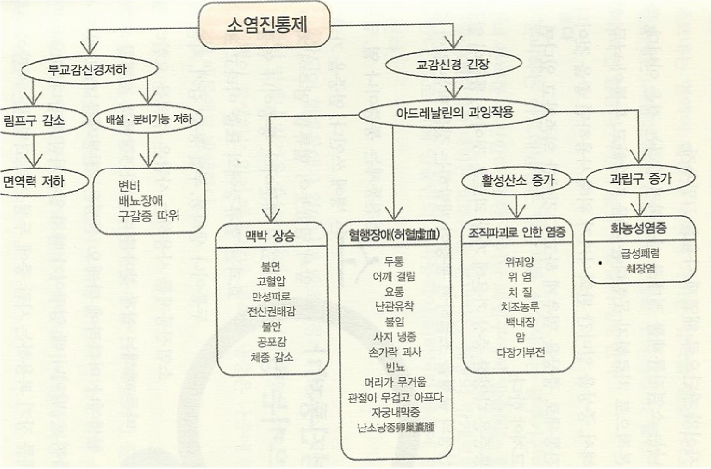 소염진통제-2.png