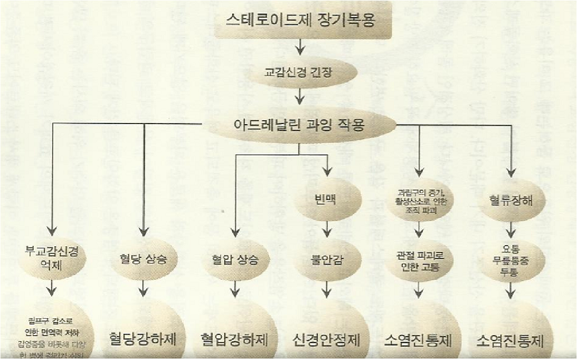 소염진통제-3.png